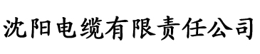 小蝌蚪福建导航app电缆厂logo